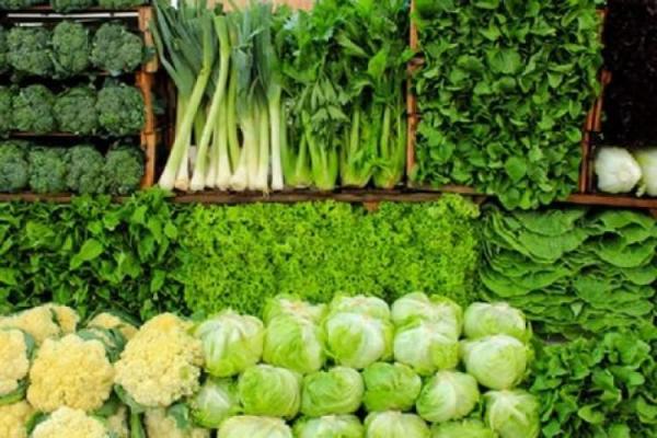 خطر جدی کم آبی در کمین سبزیجات