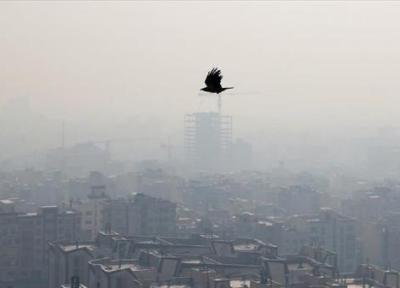تهران باز هم رکورد زد؛ کیفیت هوای مرکز بنفش شد