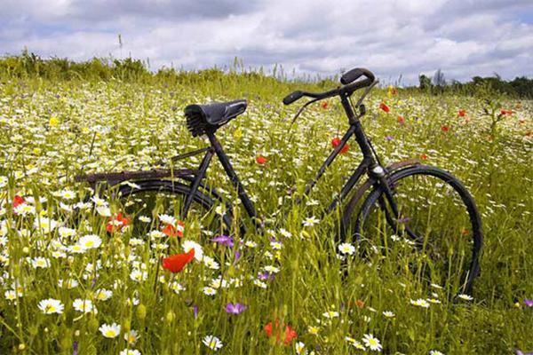 راهنمای خرید دوچرخه، برای گشت و گذار بهاری